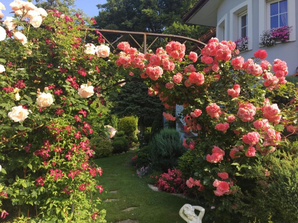 Domek I Apartamenty Zacisze Brenna Exteriör bild
