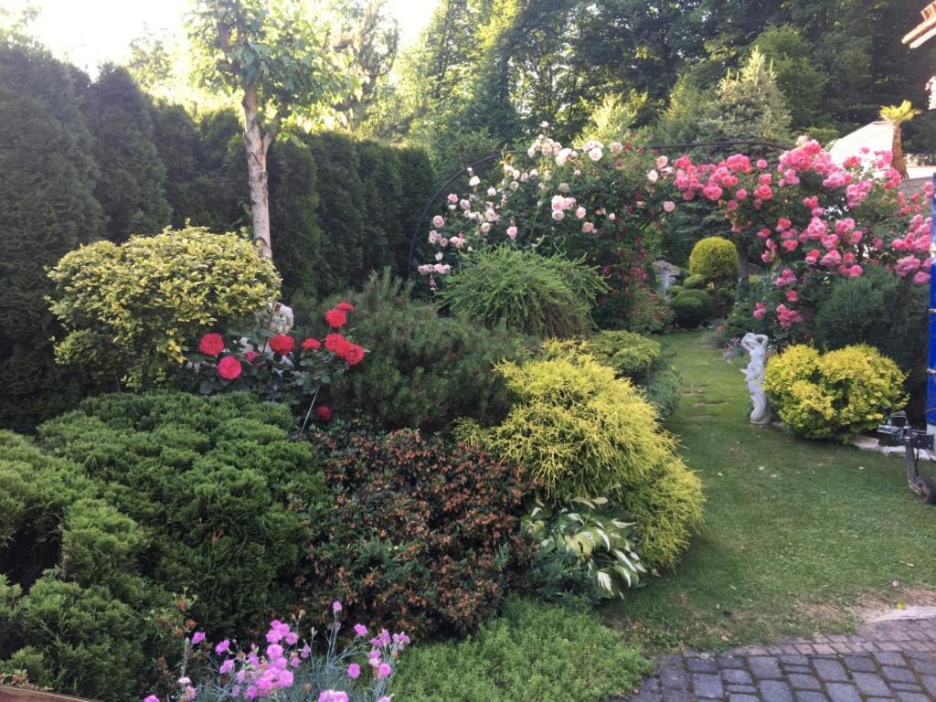 Domek I Apartamenty Zacisze Brenna Exteriör bild
